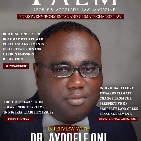 The PALM June 2025-Ayodele Oni